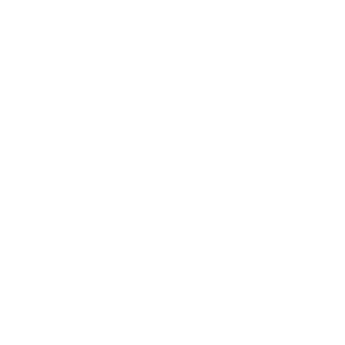 Ray Marketing Group